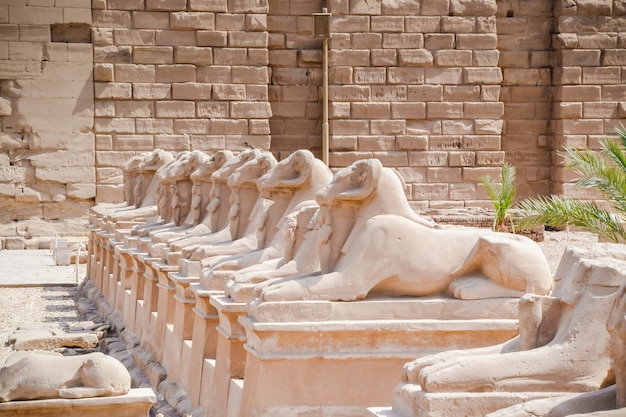 O complexo do templo de karnak, conhecido como karnak, compreende uma vasta mistura de templos, capelas, postes e outros edifícios deteriorados perto de luxor, no egito.