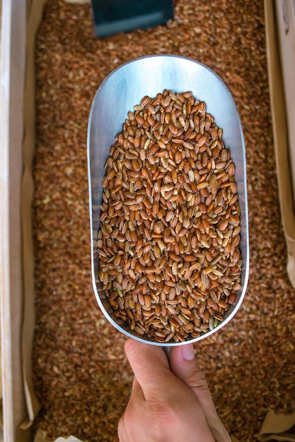 Foto o comprador retira os produtos por peso na loja sem plástico