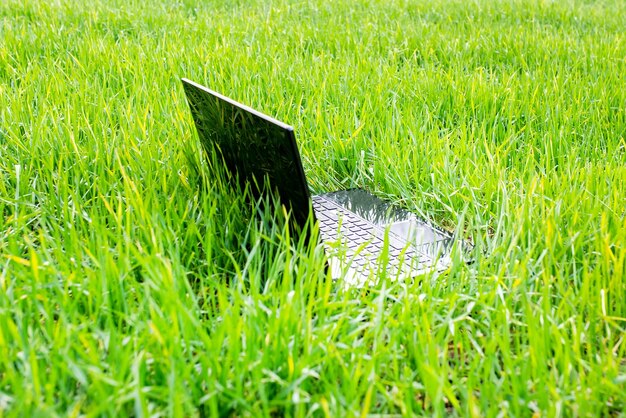 O computador encontra-se em um campo verde