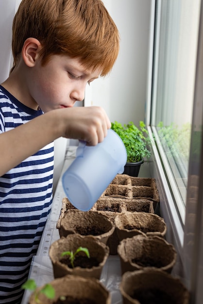 O conceito de jardinagem em casa cultivando mudas na primavera Menino ruivo criança regando plantas em vasos de turfa eco na vista lateral do peitoril da janela