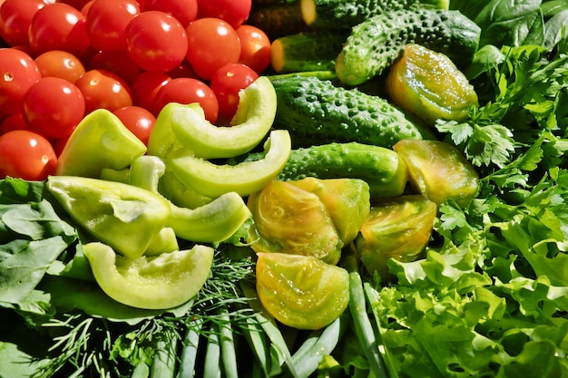 O conjunto de legumes frescos e verdes pepinos pimentão tomate cereja e ervas