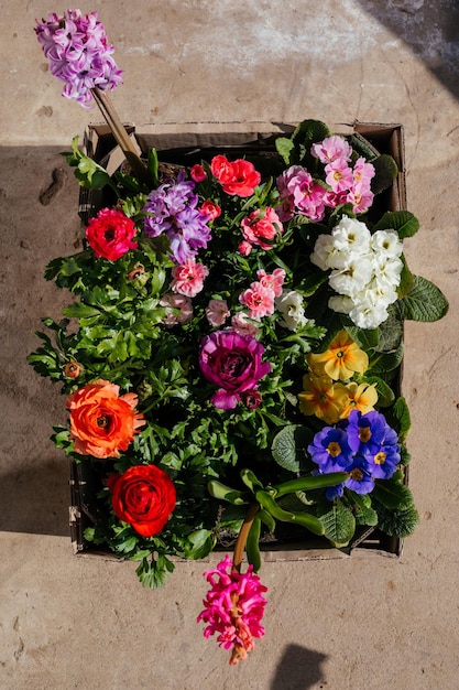 O conjunto de lindas flores da primavera para casa