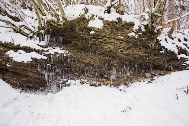 O córrego flui em uma floresta de neve