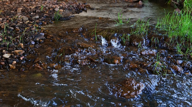 O córrego flui sobre pequenas pedras.