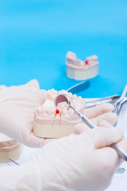 O dentista examina o molde dos dentes