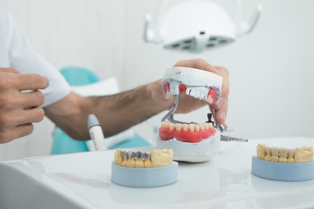 O dentista segura uma mandíbula simulada na mão