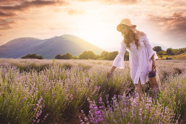 O dia extraordinário em uma plantação de lavanda