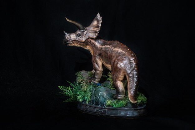 O dinossauro triceratops no escuro.