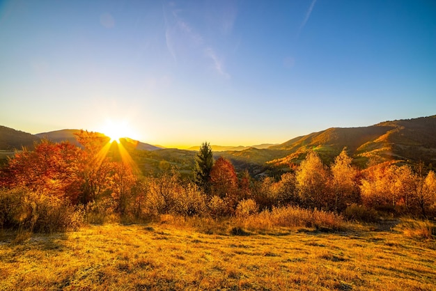 O disco solar brilhante no céu azul claro se põe atrás de montanhas florestais gigantes nas terras altas com exuberantes árvores e arbustos de terracota no dia do outono