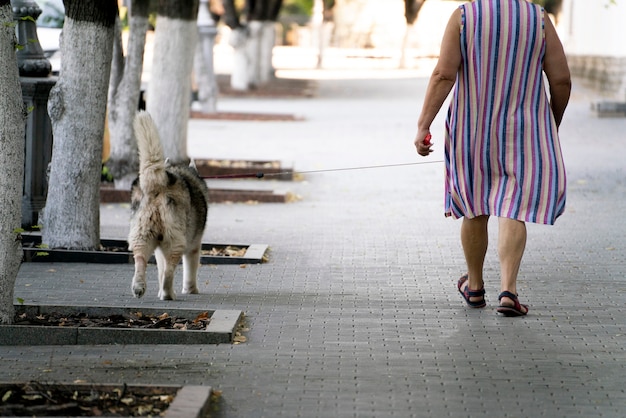 O dono de um animal de estimação caminhando com seu animal de estimação ao ar livre