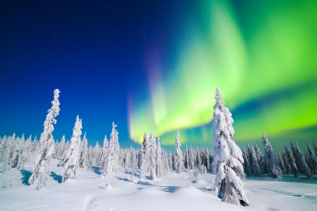 O espetáculo encantador da aurora boreal iluminando a lapônia finlandesa generativa ai