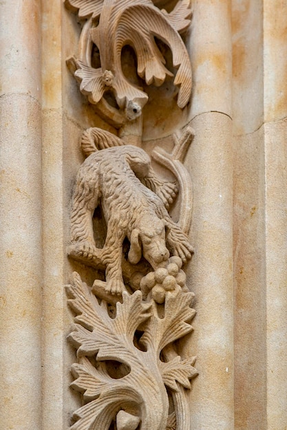 O famoso cão esculpido em pedra na fachada da Catedral de Salamanca