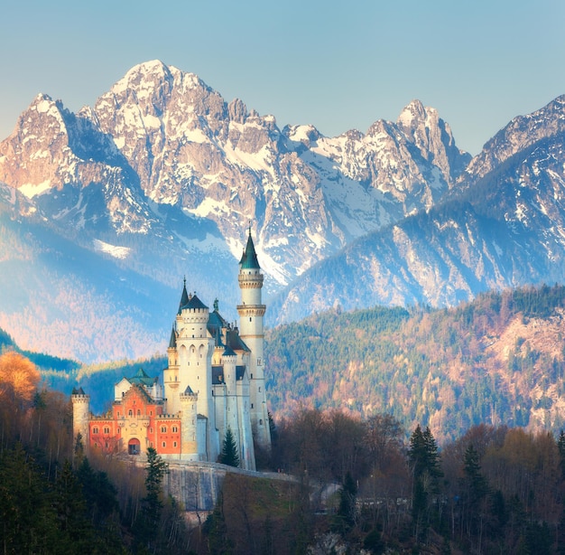 O famoso Castelo de Neuschwanstein no fundo das montanhas nevadas ao nascer do sol na Alemanha. Paisagem linda primavera com castelo, picos de montanhas e árvores verdes. Marcos na Europa. Viajar por