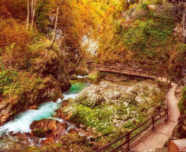 O famoso desfiladeiro de Vintgar com caminho de madeira, Bled, Parque Nacional de Triglav, Eslovênia, Europa no outono