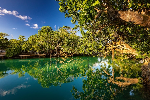 O famoso destino turístico Blue Lagoon Port Vila Efate Vanuatu