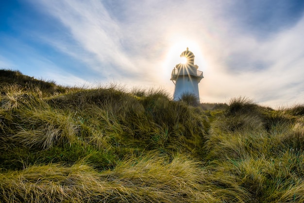 O farol histórico em waipapa na costa de catlins