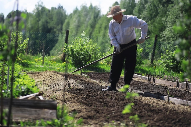 O fazendeiro está cavando um jardim Um homem com uma ceifeira ara o jardim O avô grisalho corta o jardim