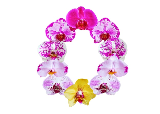 O forma feita de vários tipos de flores de orquídea