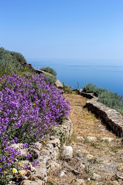O fragmento Castelo da ilha Skyros Grécia