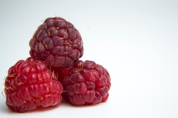 o fruto comestível com framboesa de uma infinidade de espécies de plantas do gênero Rubus, da família das rosas Ri