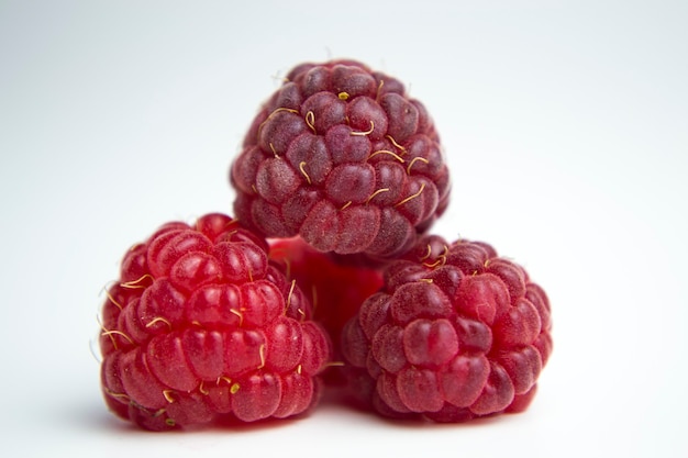 o fruto comestível com framboesa de uma infinidade de espécies de plantas do gênero Rubus, da família das rosas Ri
