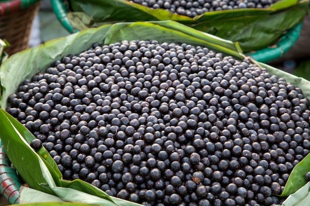 O fruto do açaí amazônico. fruta fresca