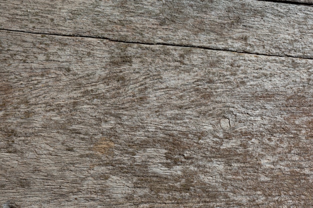 O fundo abstrato da textura de madeira velha