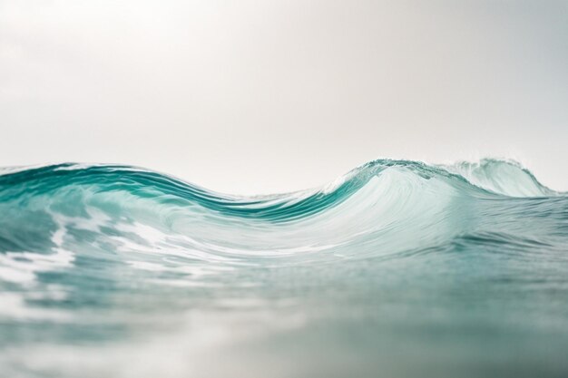 O fundo abstrato de uma onda transparente lisa em um arco de fundo branco