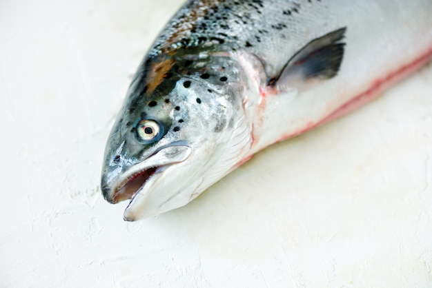 O fundo concreto branco dos peixes salmon frescos preparou-se arquivando. copie o espaço, vista de cima.