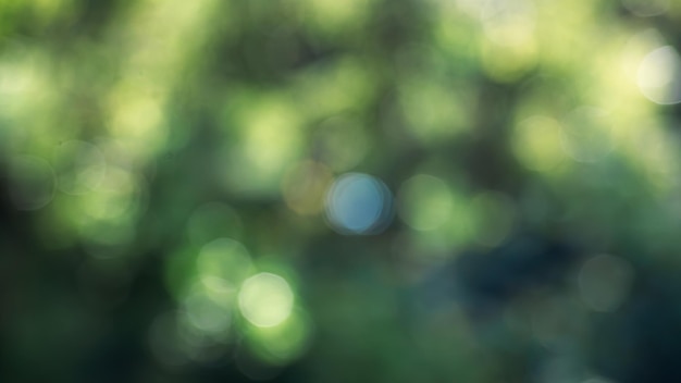 O fundo da natureza com folhas verdes borradas dá uma sensação de calma e relaxamento