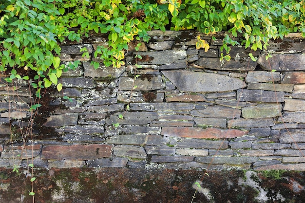 O fundo da parede com textura de pedra, robusto e atemporal, adiciona profundidade aos projetos de design que simbolizam a dura