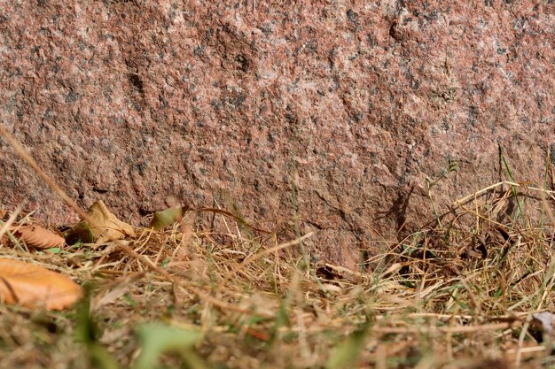 O fundo de pedra é um lugar para informações de texto e uma área verde desfocada, um espaço em branco para projetos de design, banners, design de sites