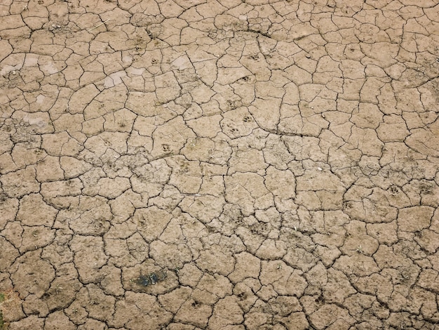 Foto o fundo e a textura estéreis à terra da lama seca