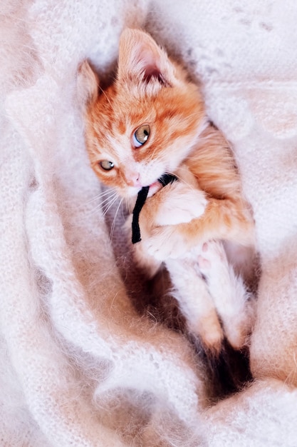 Foto o gatinho vermelho engraçado com olhos astutos joga com um rato de brinquedo em um cobertor branco peludo