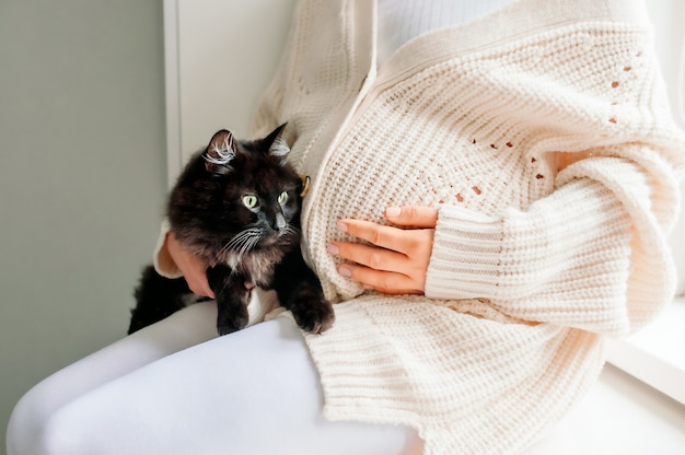 O gato está deitado perto da barriga de uma mulher grávida. Mãos tocam o gato. Mulher grávida com gato relaxando em casa