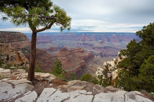 O Grand Canyon em um dia nublado