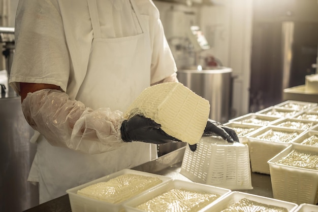 O homem é um queijeiro no processo de produção de diferentes variedades de queijo na indústria Queijo de leite