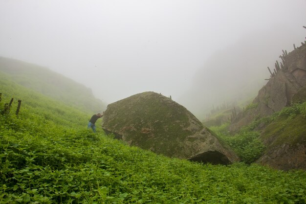 O homem finge empurrar uma grande pedra em volta das plantas verdes. Fundo Haze