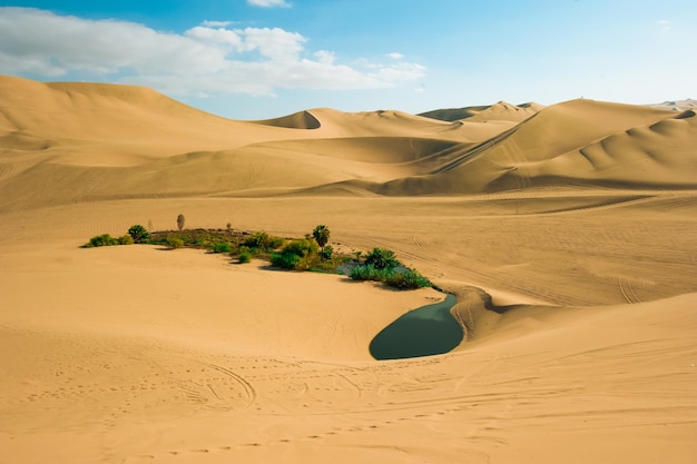 Foto o huacachina oasis nas dunas de areia do deserto perto da cidade de ica peru