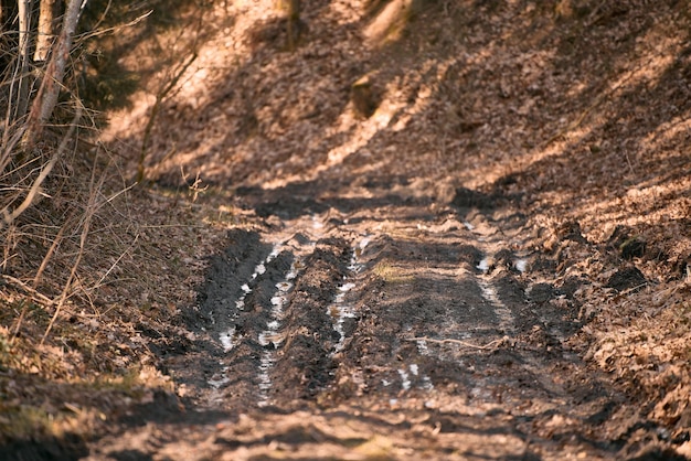 Foto o impacto das trilhas off-road ilegais