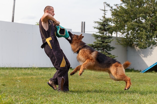 O instrutor de cães conduz a aula com o cão pastor alemão. o cão protege seu dono.