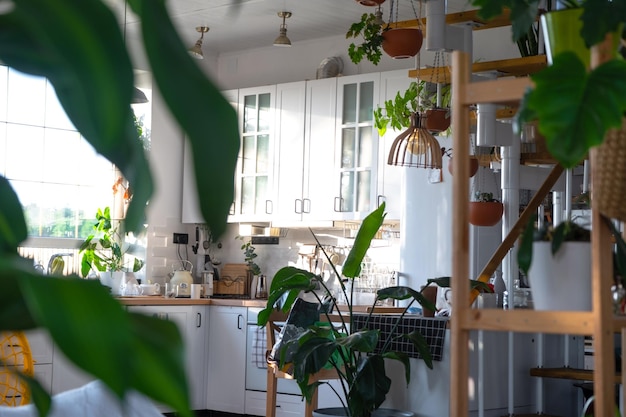 O interior de uma cozinha branca com uma escada de metal em uma casa de campo com plantas em vasos em plantadores pendurados Casa verde em estilo moderno