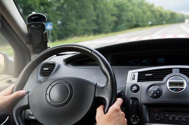 O interior do carro e os motoristas andam na estrada ao longo da trilha ao longo das árvores verdes