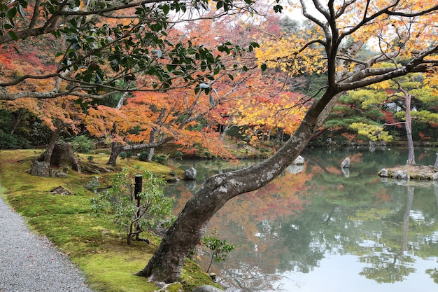 O jardim em kyoto no japão