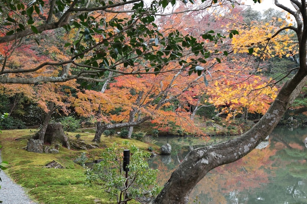 O jardim em Kyoto no Japão