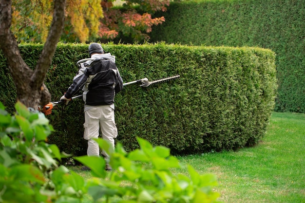 O jardineiro corta a cerca viva do jardim da topiaria