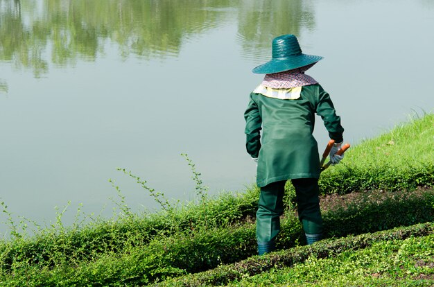 O jardineiro de corte