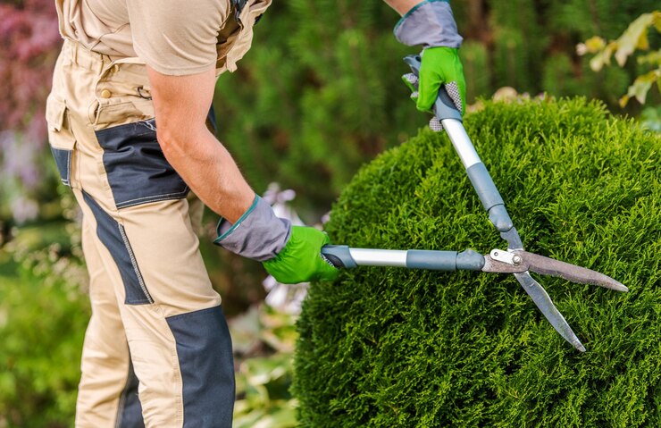 Foto o jardineiro poda e molda arbustos