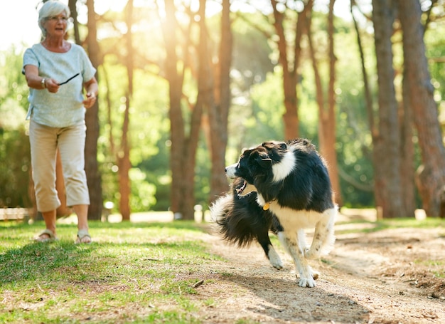 É o jogo favorito deles Foto de uma mulher sênior feliz relaxando em um parque com seu cachorro