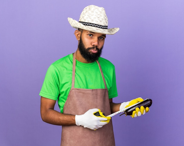 O jovem jardineiro afro-americano com um chapéu de jardinagem e luvas medindo berinjela com fita métrica